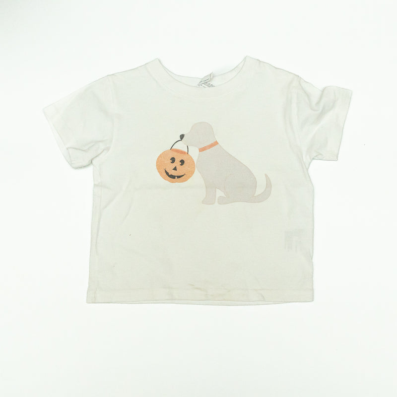 Dog and Pumpkin T-Shirt